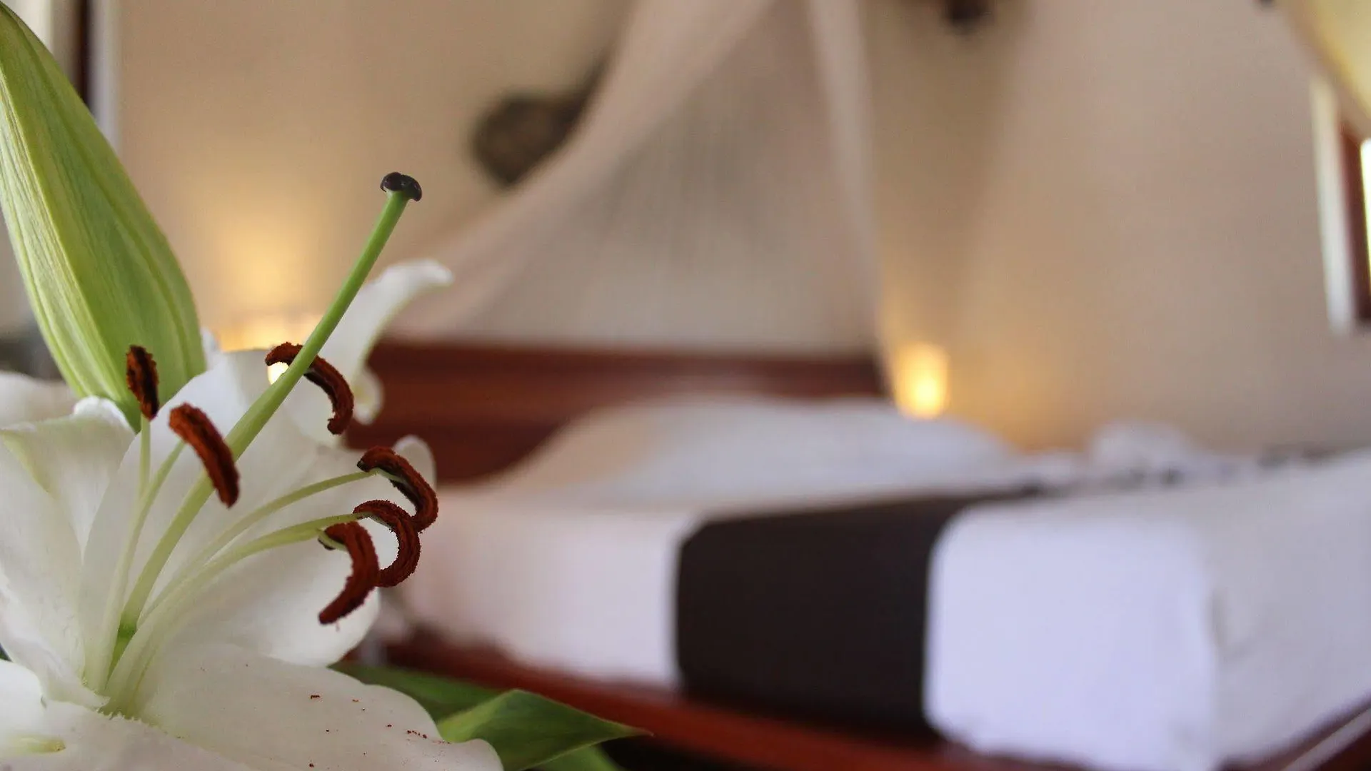 ***  Hotel Piedra Escondida Tulum Mexiko